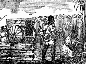 Questões sobre Escravidão Negra no Brasil
