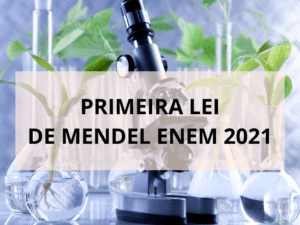 Questão sobre Primeira Lei de Mendel Enem 2021 resolvida